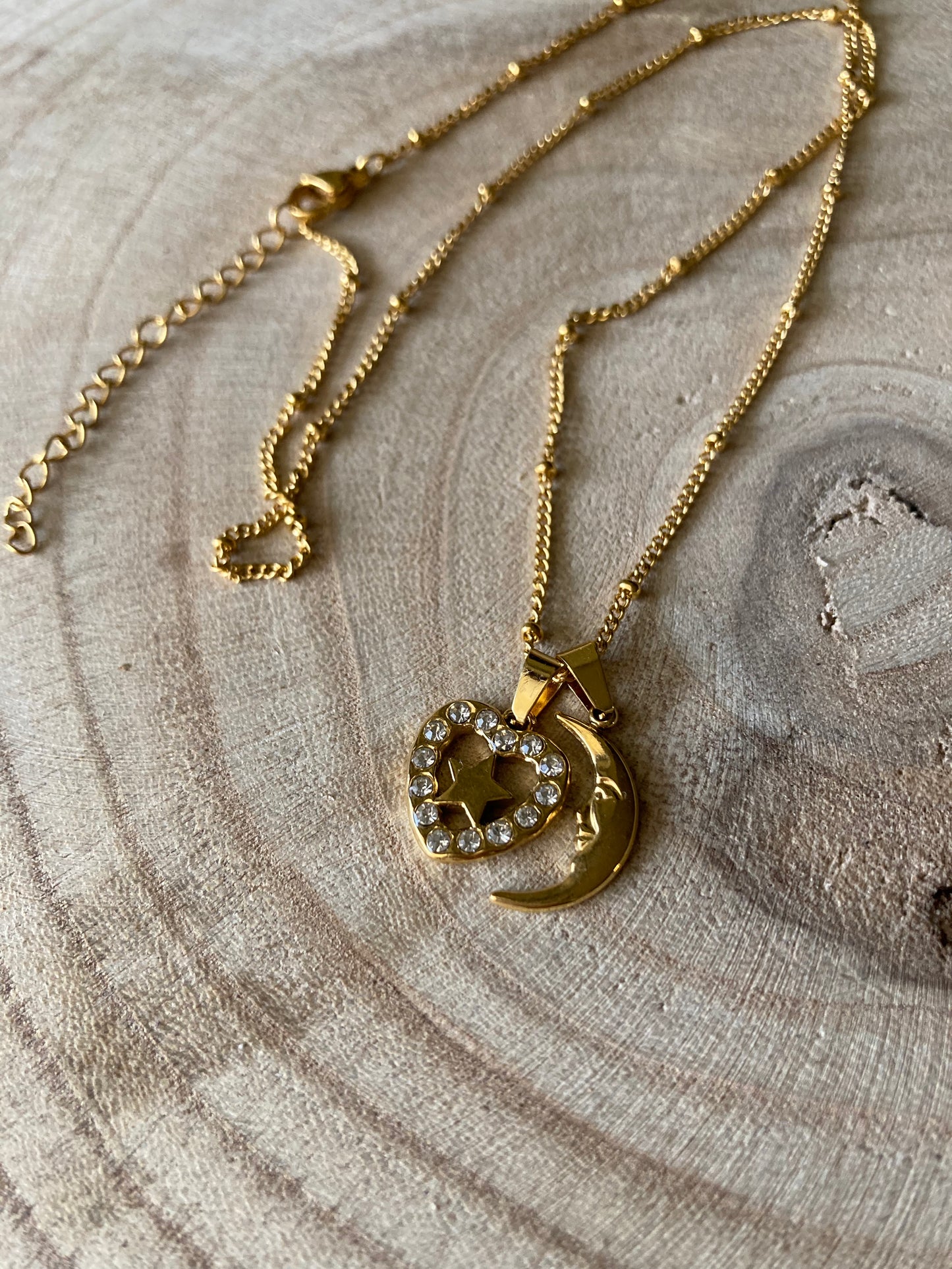 Collanina Acciaio due pendenti