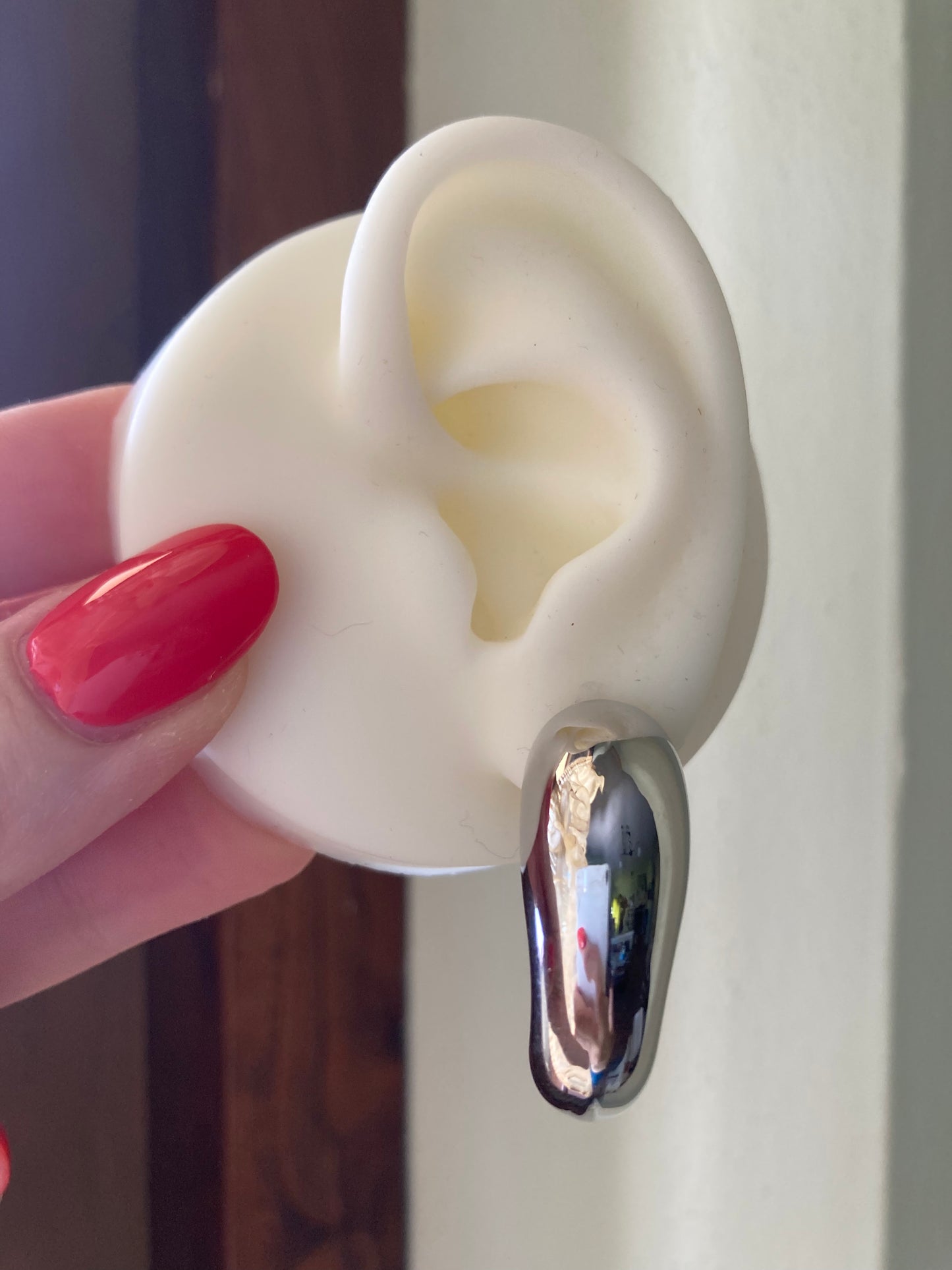 Hook Earrings