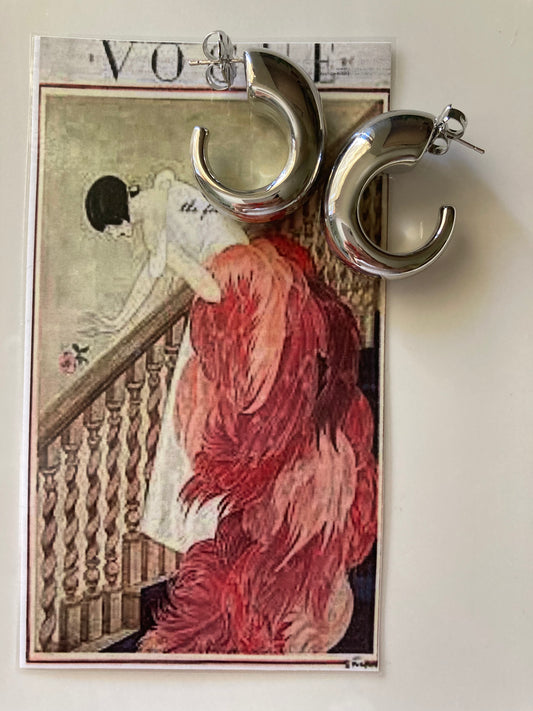 Hook Earrings